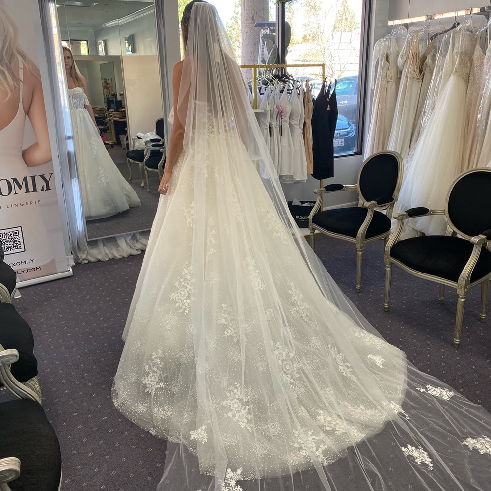 Wedding Dress & Veil